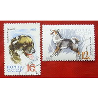 СССР. Служебные и охотничьи собаки. ( 2 марки ) 1965 года. 2-11.