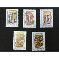 Ядовитые грибы. СССР, 1986, серия 5 марок