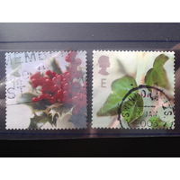Англия 2002 Рождество, цветы Михель-2,1 евро гаш
