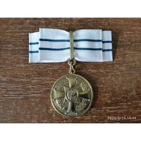 Медаль ордена Родительская Слава женский вариант копия