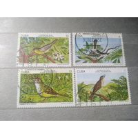 Куба.1978г. Птицы. Фауна.