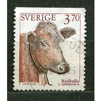 Домашние животные. Корова. Швеция. 1995