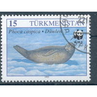 Туркмения, Туркменистан, 1993, морская фауна (гашеные)