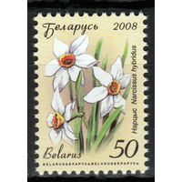 Беларусь 2008 Нарцисс 12 стандарт мел