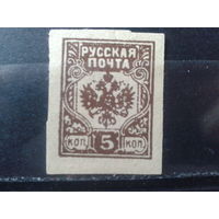 Россия 1919 Гражданская война 5 коп*