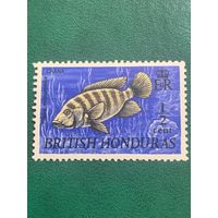 Гондурас 1969. Британская колония. Рыбы. Мозамбикская Тилапия