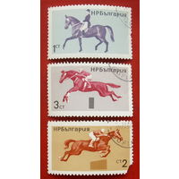 Болгария. Конный спорт. ( 3 марки ) 1965 года. 6-4.