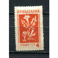 Болгария - 1953/1954 - Горные цветы и лекарственные растения 4St - [Mi.873] - 1 марка. MH.  (Лот 29FA)-T25P8