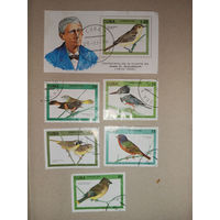 Куба, птицы. Блок + марки