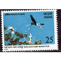 Индия. Птичий заповедник Бхаратпур