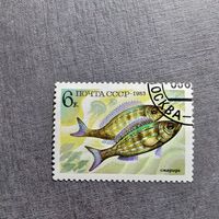 Марка СССР 1983 год Рыба
