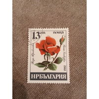 Болгария 1985. Роза Тракийка