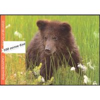 Беларусь 2014 Открытки Посткроссинг фауна бурый медведь