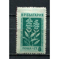 Болгария - 1953/1954 - Горные цветы и лекарственные растения 8St - [Mi.874] - 1 марка. MH.  (Лот 30FA)-T25P8