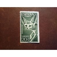 Испанская Сахара 1960 г.Лисица Фенек ./46а/