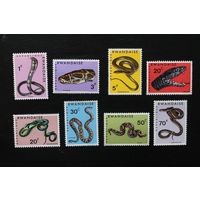 Руанда. 1967 MNH Фауна. Змеи