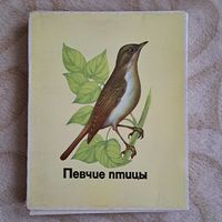 Набор спичек.  СССР. Певчие птицы.