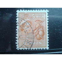 Кипр 1955 Королева Елизавета 2, апельсины