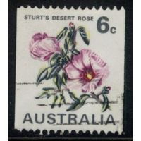 Австралия 1970 Mi# 445 Цветы - Открытие Национальной выставки марок ANPEX. Гашеная (AU10)
