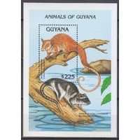 1992 Гайана 3882/B203 Фауна  MNH