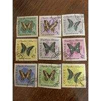 Гвинея 1963. Бабочки. Марки из серии