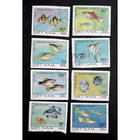 Вьетнам 1981 г. Аквариумные рыбы. Фауна. без перфорации. полная серия из 8 марок #0023-Ф1