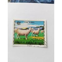 Монеолия  1971 овцы