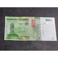 Уганда 5000 шиллингов 2019 Unc
