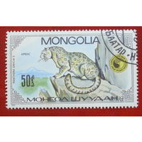 Монголия. Фауна. ( 1 марка ) 1985 года. 1-4.