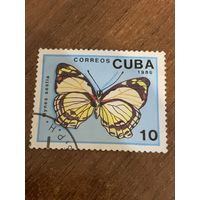 Куба 1989. Бабочки. Mynes sestia. Марка из серии