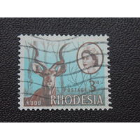 Родезия 1966 г. Королева Елизавета II. Антилопа Большой Куду.