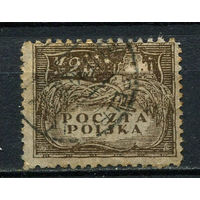 Польша - 1919/1920 - Злаки 2M - [Mi.111x] - 1 марка. Гашеная.  (Лот 63EP)-T2P37