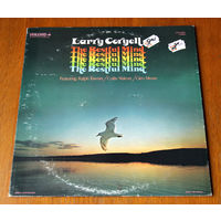 Larry Coryell "The Restful Mind" LP, 1975