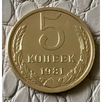 5 копеек 1981 года.