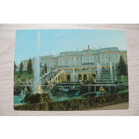 ДМПК-1980, 28-11-1979; Рязанцев А., Петродворец. Вид на Большой дворец; чистая.