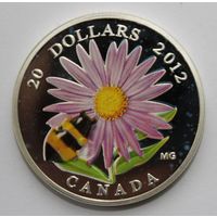 Копия монеты 20 долларов Канады 2012 года.