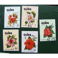 Куба, 5м\с цветы гаш. 1978