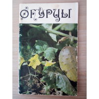 Огурцы
