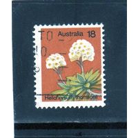 Австралия.Ми-591. Helichrysum Thomsonii. Серия: Растения. 1975.