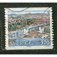 Национальный парк Муддус. Лебеди. Швеция. 1990