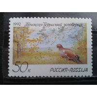 Россия 1992 Фазан**