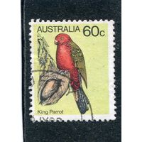 Австралия. Королевский попугай