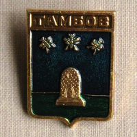 Значок герб города Тамбов 1-47