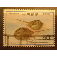 Япония 1977 фауна