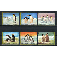 Умм-эль-Кайвайн - 1972 - Пингвины - [Mi. 630-635] - полная серия - 6 марок. MNH.  (Лот 93EV)-T25P2