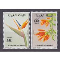 1983 Марокко 1027-1028 Цветы