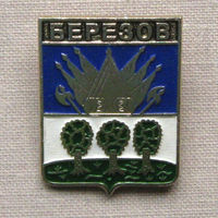 Значок герб города Березов 2-27