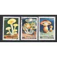 Грибы КНДР 1985 год серия из 3-х марок