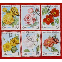Куба. Розы. ( 6 марок ) 1979 года.