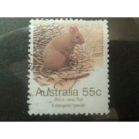 Австралия 1981 сумчатая крыса